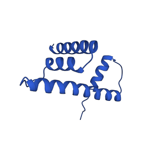 30339_7ccq_D_v1-3
Structure of the 1:1 cGAS-nucleosome complex