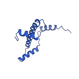 30339_7ccq_E_v1-2
Structure of the 1:1 cGAS-nucleosome complex