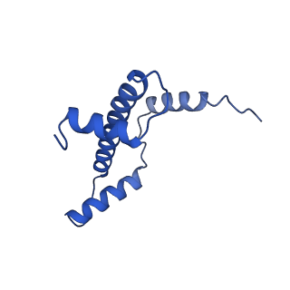 30339_7ccq_E_v1-3
Structure of the 1:1 cGAS-nucleosome complex