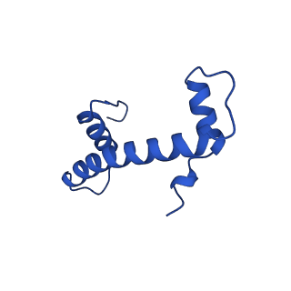 30339_7ccq_F_v1-2
Structure of the 1:1 cGAS-nucleosome complex