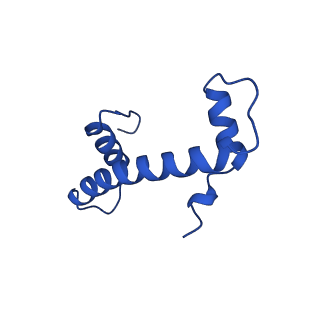 30339_7ccq_F_v1-3
Structure of the 1:1 cGAS-nucleosome complex