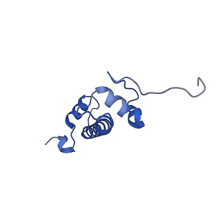 30339_7ccq_G_v1-2
Structure of the 1:1 cGAS-nucleosome complex