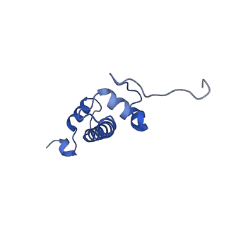 30339_7ccq_G_v1-3
Structure of the 1:1 cGAS-nucleosome complex