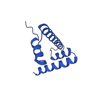 30339_7ccq_H_v1-2
Structure of the 1:1 cGAS-nucleosome complex