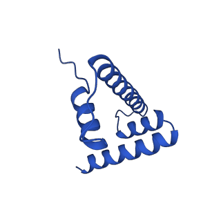 30339_7ccq_H_v1-3
Structure of the 1:1 cGAS-nucleosome complex