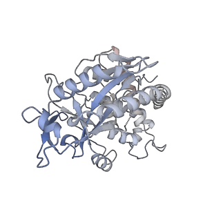 30339_7ccq_K_v1-2
Structure of the 1:1 cGAS-nucleosome complex