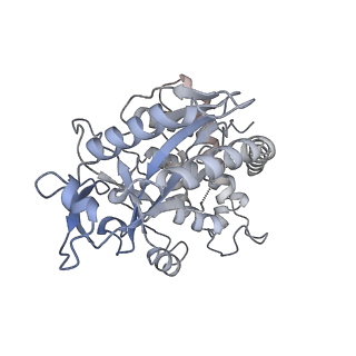 30339_7ccq_K_v1-3
Structure of the 1:1 cGAS-nucleosome complex