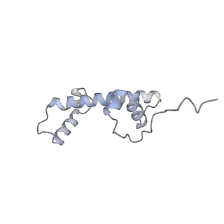 30340_7ccr_C_v1-3
Structure of the 2:2 cGAS-nucleosome complex