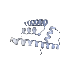 30340_7ccr_D_v1-2
Structure of the 2:2 cGAS-nucleosome complex