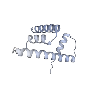 30340_7ccr_D_v1-3
Structure of the 2:2 cGAS-nucleosome complex