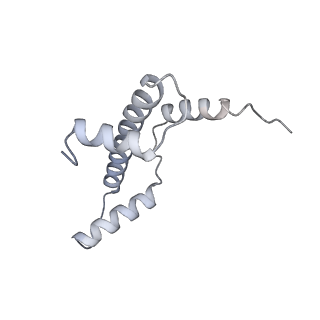 30340_7ccr_E_v1-3
Structure of the 2:2 cGAS-nucleosome complex