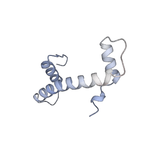 30340_7ccr_F_v1-2
Structure of the 2:2 cGAS-nucleosome complex