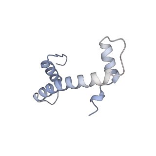 30340_7ccr_F_v1-3
Structure of the 2:2 cGAS-nucleosome complex