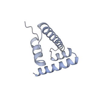 30340_7ccr_H_v1-3
Structure of the 2:2 cGAS-nucleosome complex