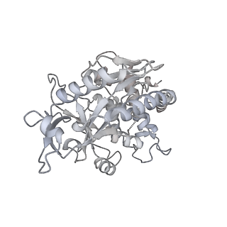 30340_7ccr_K_v1-2
Structure of the 2:2 cGAS-nucleosome complex