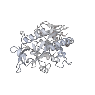 30340_7ccr_K_v1-3
Structure of the 2:2 cGAS-nucleosome complex