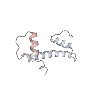 30340_7ccr_M_v1-2
Structure of the 2:2 cGAS-nucleosome complex