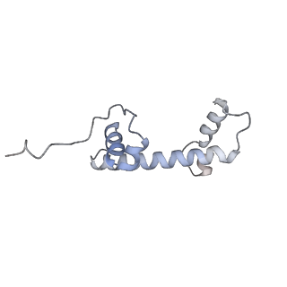 30340_7ccr_N_v1-2
Structure of the 2:2 cGAS-nucleosome complex