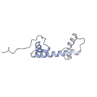 30340_7ccr_N_v1-3
Structure of the 2:2 cGAS-nucleosome complex