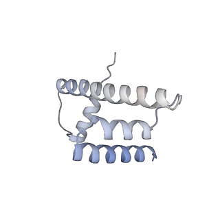 30340_7ccr_O_v1-2
Structure of the 2:2 cGAS-nucleosome complex