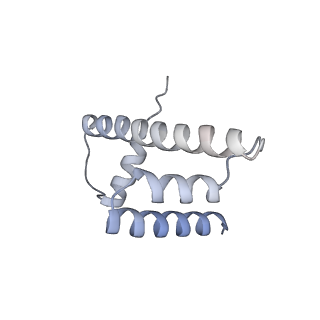 30340_7ccr_O_v1-3
Structure of the 2:2 cGAS-nucleosome complex