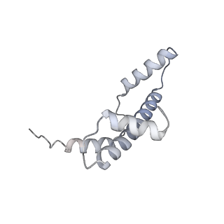 30340_7ccr_P_v1-2
Structure of the 2:2 cGAS-nucleosome complex