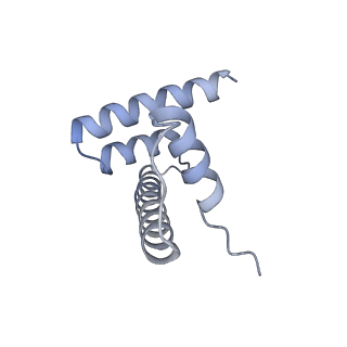 30340_7ccr_S_v1-2
Structure of the 2:2 cGAS-nucleosome complex
