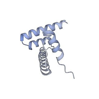 30340_7ccr_S_v1-3
Structure of the 2:2 cGAS-nucleosome complex