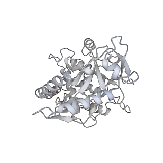 30340_7ccr_V_v1-3
Structure of the 2:2 cGAS-nucleosome complex