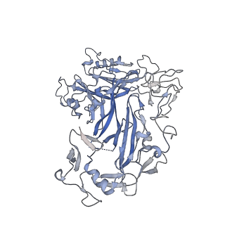 16569_8cdd_A_v1-3
PfRH5-PfCyRPA-PfRIPR complex from Plasmodium falciparum bound to antibody Cy.003