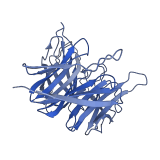 16569_8cdd_B_v1-3
PfRH5-PfCyRPA-PfRIPR complex from Plasmodium falciparum bound to antibody Cy.003