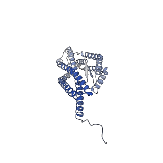 16569_8cdd_C_v1-3
PfRH5-PfCyRPA-PfRIPR complex from Plasmodium falciparum bound to antibody Cy.003