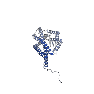 16569_8cdd_C_v1-4
PfRH5-PfCyRPA-PfRIPR complex from Plasmodium falciparum bound to antibody Cy.003