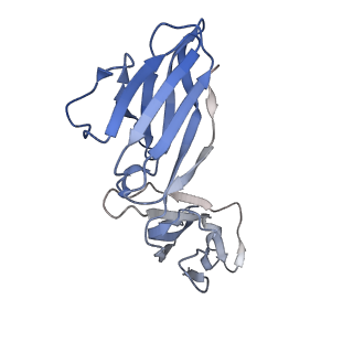 16569_8cdd_D_v1-3
PfRH5-PfCyRPA-PfRIPR complex from Plasmodium falciparum bound to antibody Cy.003