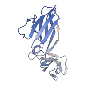 16569_8cdd_D_v1-4
PfRH5-PfCyRPA-PfRIPR complex from Plasmodium falciparum bound to antibody Cy.003