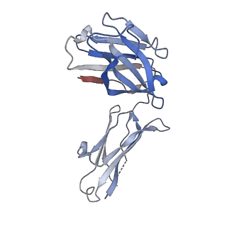 16569_8cdd_E_v1-3
PfRH5-PfCyRPA-PfRIPR complex from Plasmodium falciparum bound to antibody Cy.003