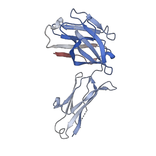 16569_8cdd_E_v1-4
PfRH5-PfCyRPA-PfRIPR complex from Plasmodium falciparum bound to antibody Cy.003