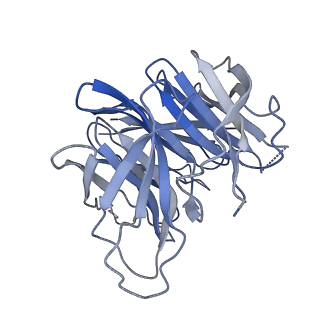 16570_8cde_B_v1-4
PfCyRPA-PfRIPR complex from Plasmodium falciparum bound to antibody Cy.003