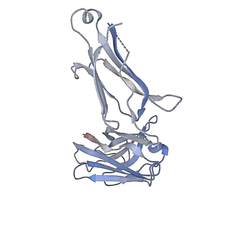 16570_8cde_D_v1-4
PfCyRPA-PfRIPR complex from Plasmodium falciparum bound to antibody Cy.003