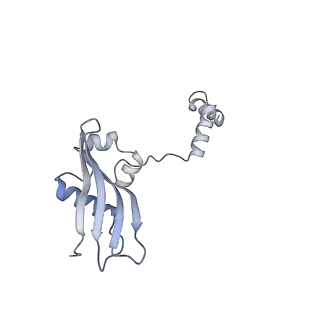 16591_8cdl_0_v1-5
80S S. cerevisiae ribosome with ligands in hybrid-2 pre-translocation (PRE-H2) complex