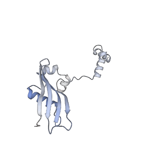 16591_8cdl_0_v1-6
80S S. cerevisiae ribosome with ligands in hybrid-2 pre-translocation (PRE-H2) complex