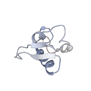16591_8cdl_1_v1-5
80S S. cerevisiae ribosome with ligands in hybrid-2 pre-translocation (PRE-H2) complex