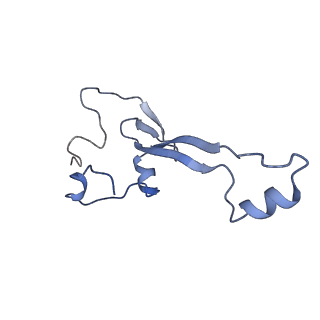 16591_8cdl_2_v1-5
80S S. cerevisiae ribosome with ligands in hybrid-2 pre-translocation (PRE-H2) complex