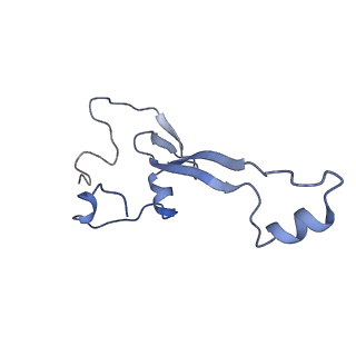 16591_8cdl_2_v1-6
80S S. cerevisiae ribosome with ligands in hybrid-2 pre-translocation (PRE-H2) complex