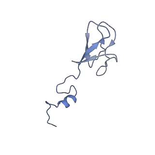 16591_8cdl_3_v1-5
80S S. cerevisiae ribosome with ligands in hybrid-2 pre-translocation (PRE-H2) complex