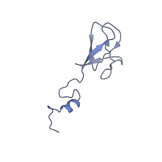 16591_8cdl_3_v1-6
80S S. cerevisiae ribosome with ligands in hybrid-2 pre-translocation (PRE-H2) complex