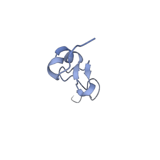 16591_8cdl_5_v1-5
80S S. cerevisiae ribosome with ligands in hybrid-2 pre-translocation (PRE-H2) complex
