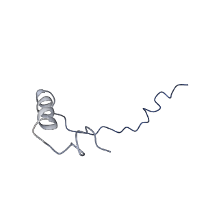 16591_8cdl_6_v1-6
80S S. cerevisiae ribosome with ligands in hybrid-2 pre-translocation (PRE-H2) complex