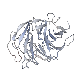 16591_8cdl_7_v1-5
80S S. cerevisiae ribosome with ligands in hybrid-2 pre-translocation (PRE-H2) complex