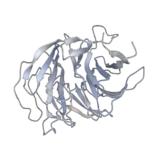 16591_8cdl_7_v1-6
80S S. cerevisiae ribosome with ligands in hybrid-2 pre-translocation (PRE-H2) complex